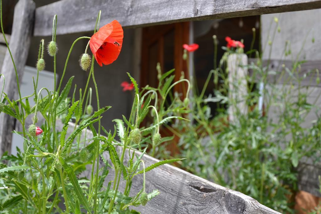 Holiday Farmhouse Skvor Robidisce المظهر الخارجي الصورة
